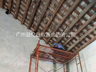 小坑村祠堂白蚁防治工程