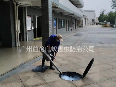 龙潭工业园除四害