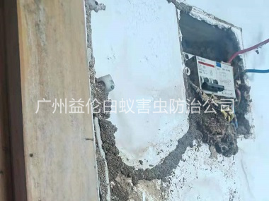 良口镇房屋杀灭白蚁