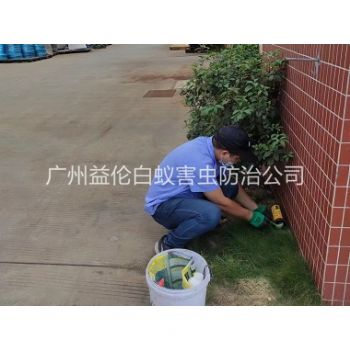东明布放灭鼠屋工程