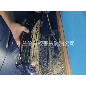 太平体育馆灭治白蚁工程