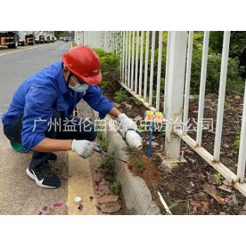棋杆红火蚁防治工程
