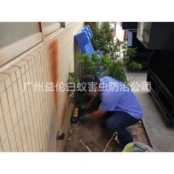 灌村投放灭鼠装置工程