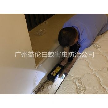 温泉镇家居白蚁灭治工程