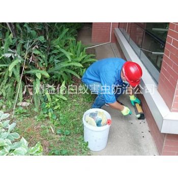 江埔施药灭鼠工程