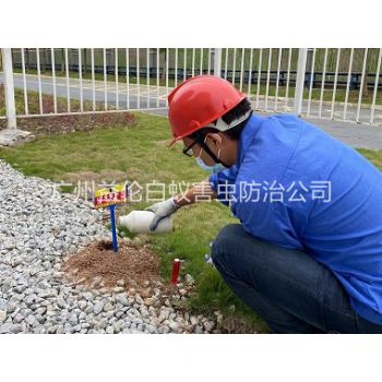 城郊红火蚁防治工程