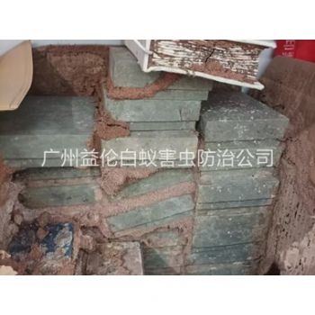 温泉防治白蚁危害工程