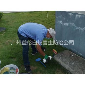 龙潭灭除红火蚁工程