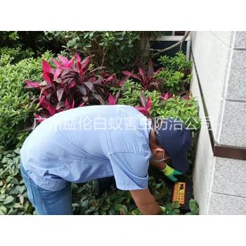 城郊住宅环境灭鼠工程